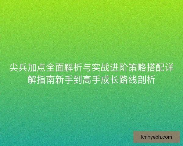尖兵加点全面解析与实战进阶策略搭配详解指南新手到高手成长路线剖析