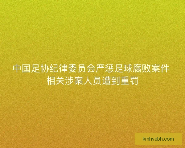中国足协纪律委员会严惩足球腐败案件 相关涉案人员遭到重罚