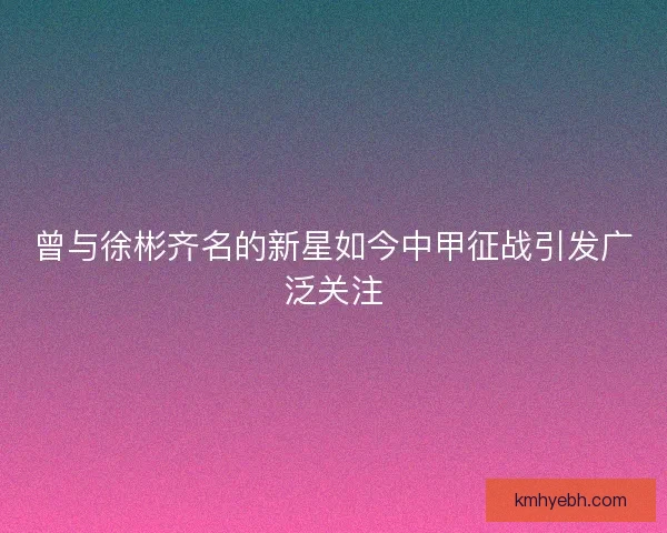 曾与徐彬齐名的新星如今中甲征战引发广泛关注 曾与徐彬齐名的新星如今中甲征战引发广泛关注